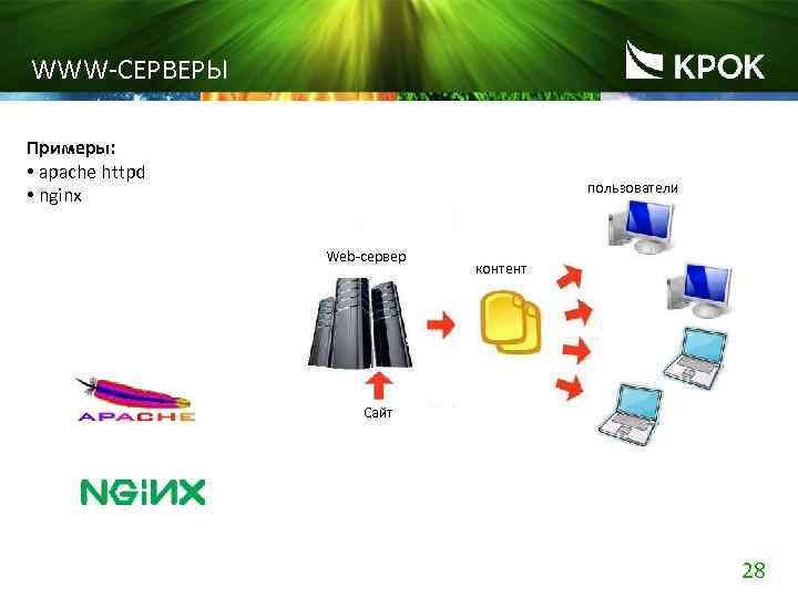 WWW-СЕРВЕРЫ Примеры: • apache httpd • nginx пользователи Web-сервер контент Сайт 28 