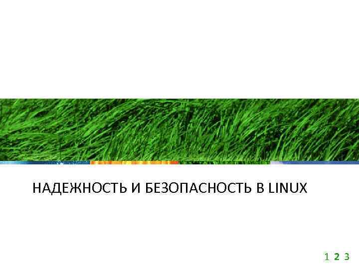 НАДЕЖНОСТЬ И БЕЗОПАСНОСТЬ В LINUX 1 2 3 