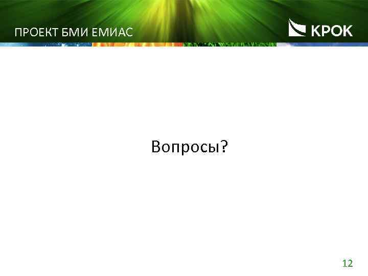 ПРОЕКТ БМИ ЕМИАС Вопросы? 12 