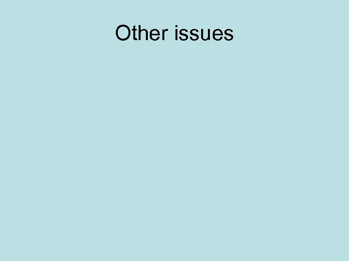 Other issues 