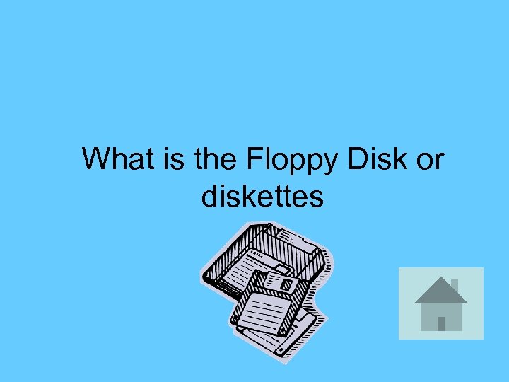 What is the Floppy Disk or diskettes 