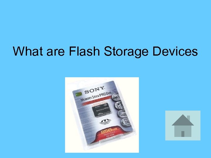 What are Flash Storage Devices 
