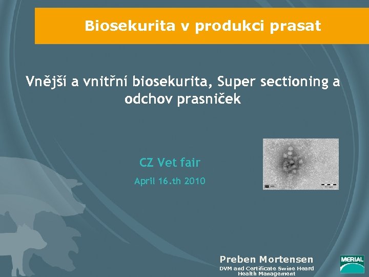 Biosekurita v produkci prasat Vnější a vnitřní biosekurita, Super sectioning a odchov prasniček CZ