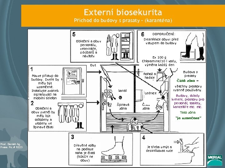 Externí biosekurita Příchod do budovy s prasaty – (karanténa) DOPORUČENÍ: Desinfekce obuvi před vstupem