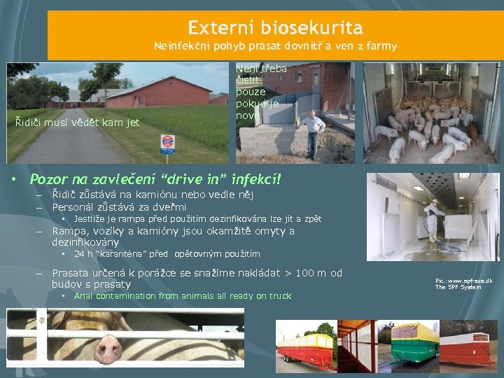 Externí biosekurita Neinfekční pohyb prasat dovnitř a ven z farmy Řidiči musí vědět kam