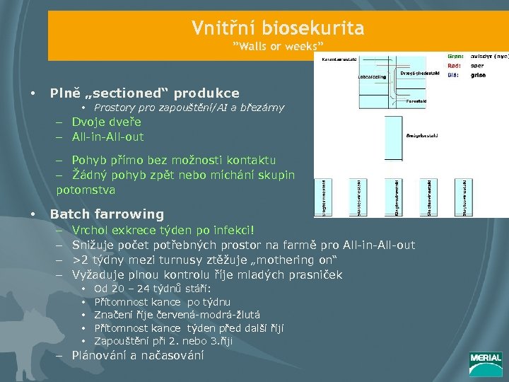 Vnitřní biosekurita ”Walls or weeks” • Plně „sectioned“ produkce • Prostory pro zapouštění/AI a