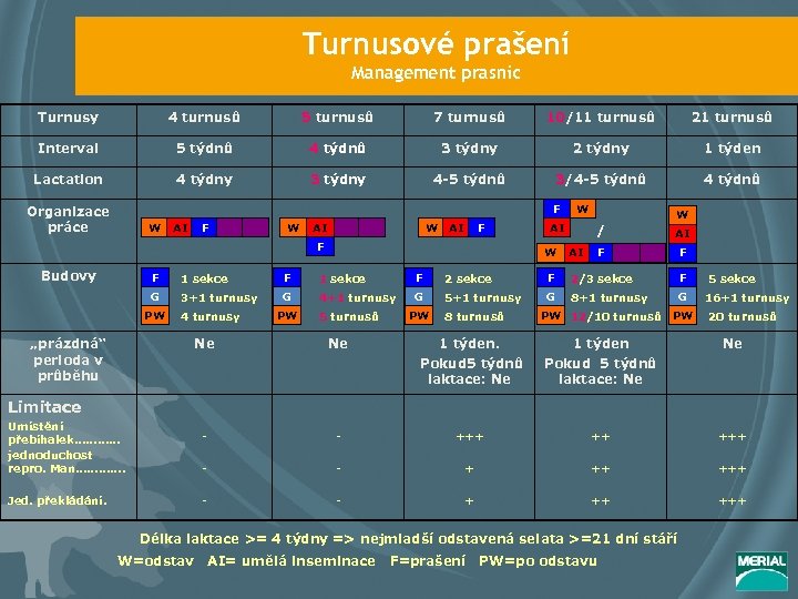 Turnusové prašení Management prasnic Turnusy 4 turnusů 5 turnusů 7 turnusů 10/11 turnusů 21