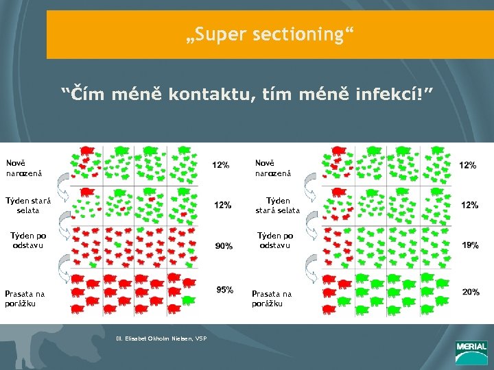 „Super sectioning“ “Čím méně kontaktu, tím méně infekcí!” Nově narozená Týden stará selata Týden