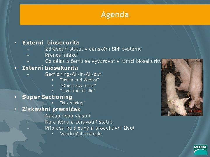 Agenda • Externí biosecurita – – – • Zdravotní statut v dánském SPF systému