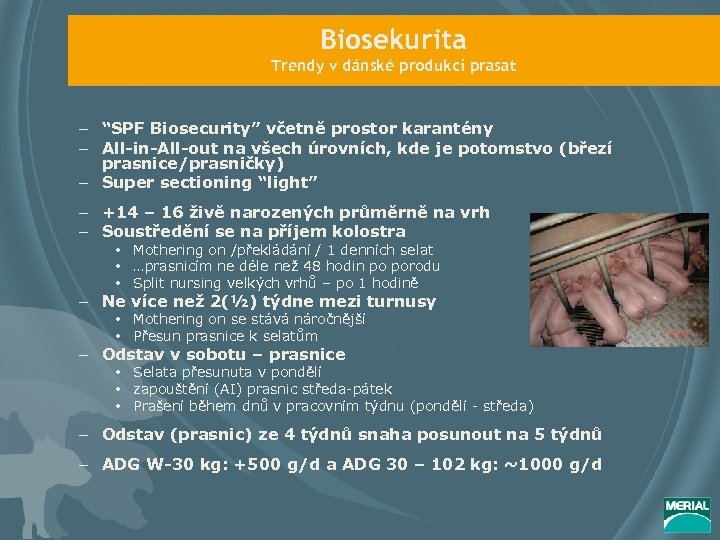 Biosekurita Trendy v dánské produkci prasat – “SPF Biosecurity” včetně prostor karantény – All-in-All-out