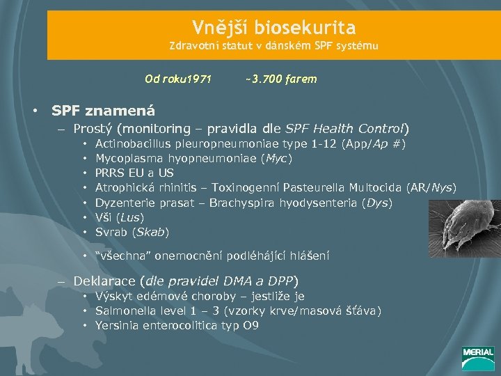 Vnější biosekurita Zdravotní statut v dánském SPF systému Od roku 1971 ~3. 700 farem