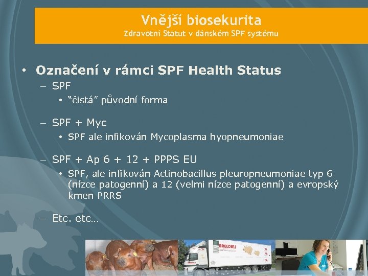 Vnější biosekurita Zdravotní Statut v dánském SPF systému • Označení v rámci SPF Health