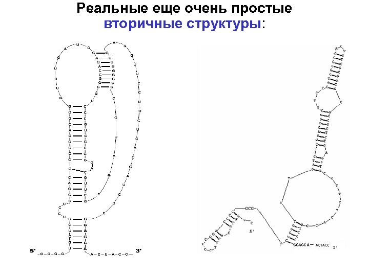 Реальные еще очень простые вторичные структуры: 