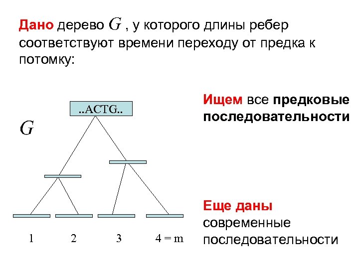 Дано дерево G , у которого длины ребер соответствуют времени переходу от предка к