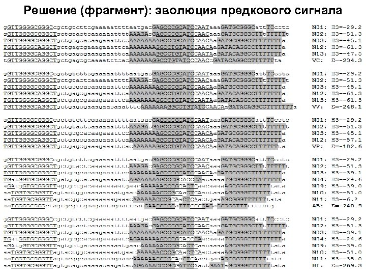 Решение (фрагмент): эволюция предкового сигнала 