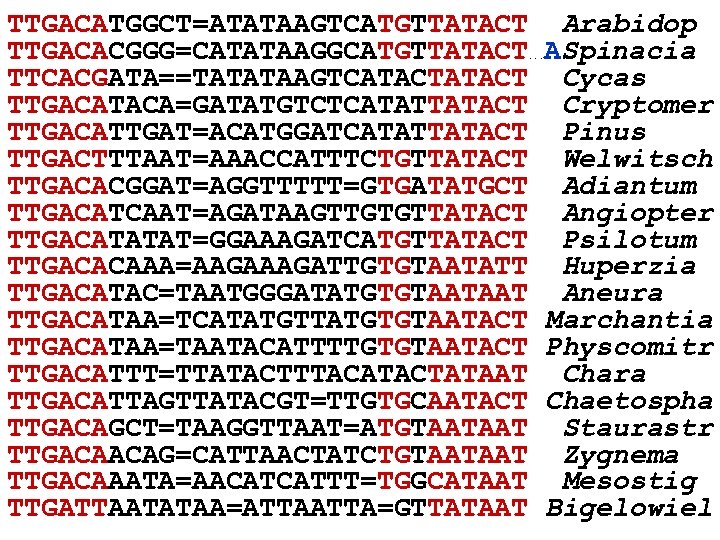 TTGACATGGCT=ATATAAGTCATGTTATACT TTGACACGGG=CATATAAGGCATGTTATACT TTCACGATA==TATATAAGTCATACT TTGACATACA=GATATGTCTCATATTATACT TTGACATTGAT=ACATGGATCATATTATACT TTGACTTTAAT=AAACCATTTCTGTTATACT TTGACACGGAT=AGGTTTTT=GTGATATGCT TTGACATCAAT=AGATAAGTTGTGTTATACT TTGACATATAT=GGAAAGATCATGTTATACT TTGACACAAA=AAGATTGTGTAATATT TTGACATAC=TAATGGGATATGTGTAATAAT TTGACATAA=TCATATGTGTAATACT TTGACATAA=TAATACATTTTGTGTAATACT TTGACATTT=TTATACTTTACATACTATAAT