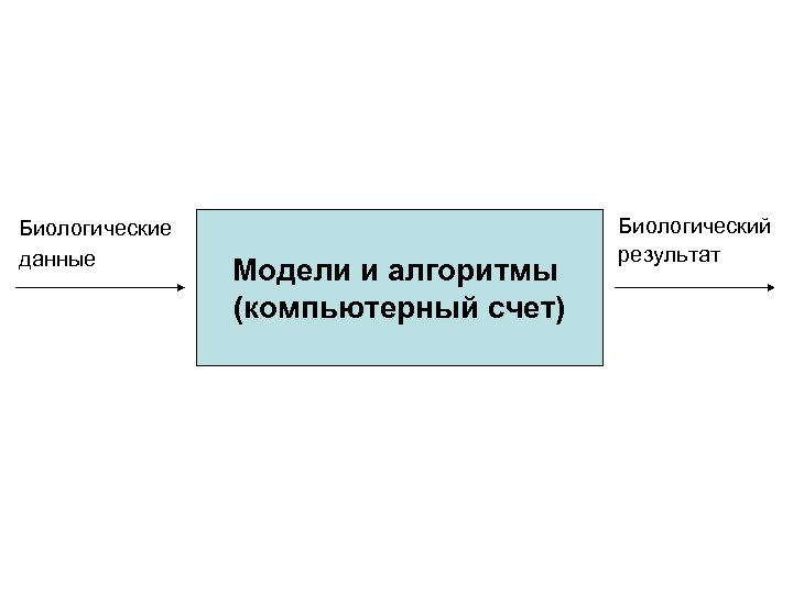 Биологические данные Модели и алгоритмы (компьютерный счет) Биологический результат 