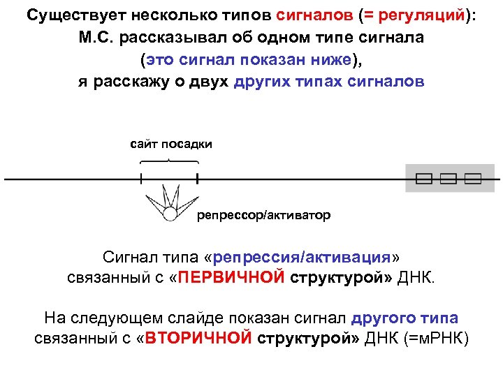 Существует несколько типов сигналов (= регуляций): М. С. рассказывал об одном типе сигнала (это