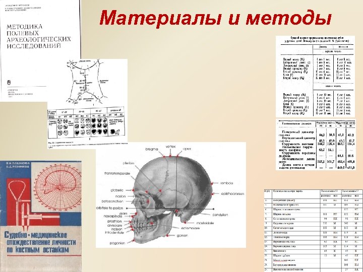 Материалы и методы 