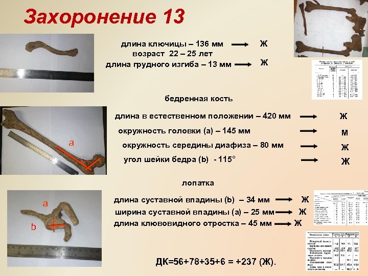 Захоронение 13 длина ключицы – 136 мм возраст 22 – 25 лет длина грудного