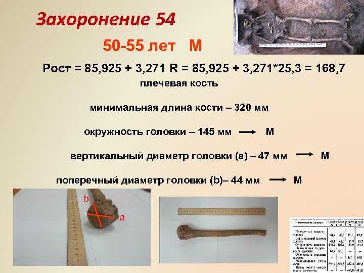 Захоронение 54 50 -55 лет М Рост = 85, 925 + 3, 271 R