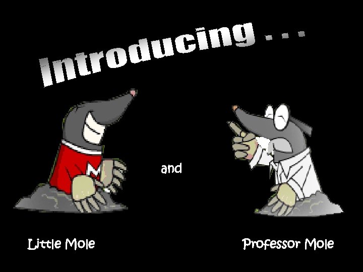 and Little Mole Professor Mole 