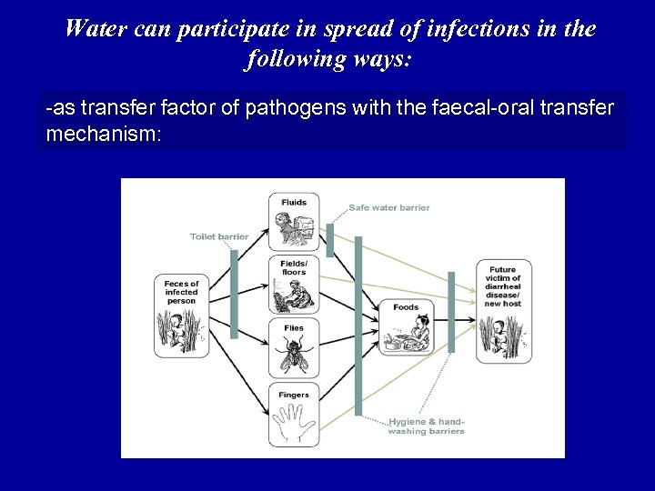 Water can participate in spread of infections in the following ways: -as transfer factor