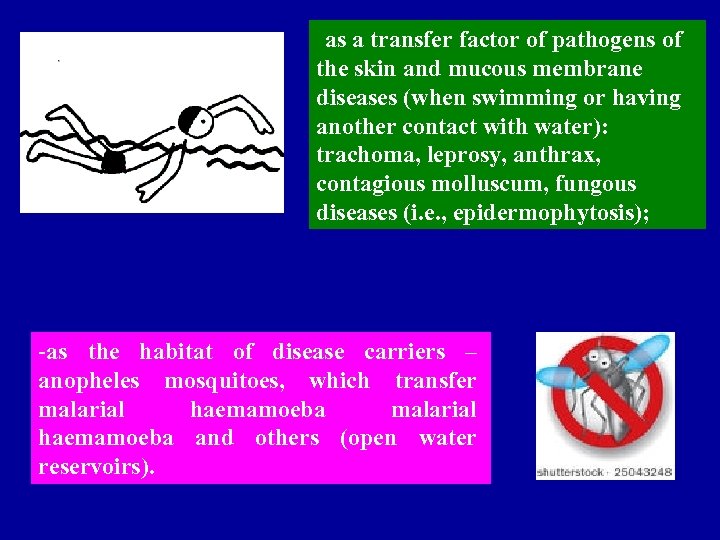  as a transfer factor of pathogens of the skin and mucous membrane diseases