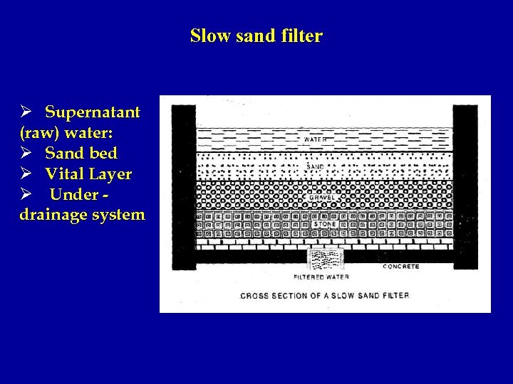 Slow sand filter Ø Supernatant (raw) water: Ø Sand bed Ø Vital Layer Ø