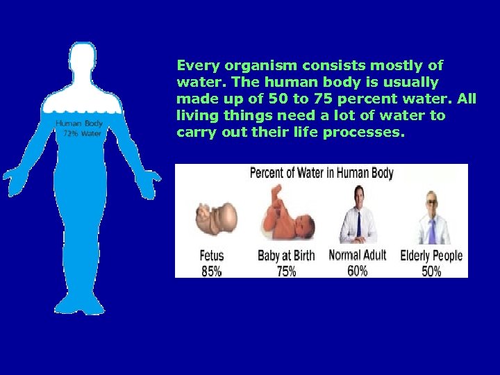 Every organism consists mostly of water. The human body is usually made up of