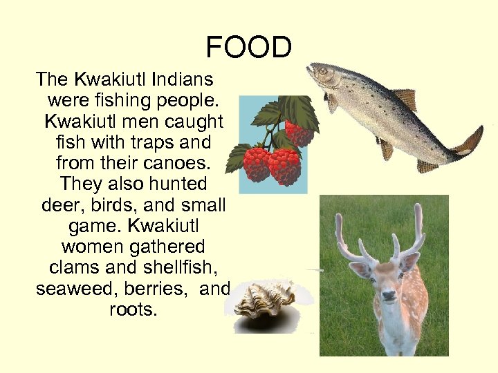 FOOD The Kwakiutl Indians were fishing people. Kwakiutl men caught fish with traps and