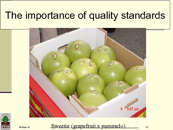 The importance of quality standards 19 -Mar-18 Sweetie (grapefruit x pummelo) Plant Protection &