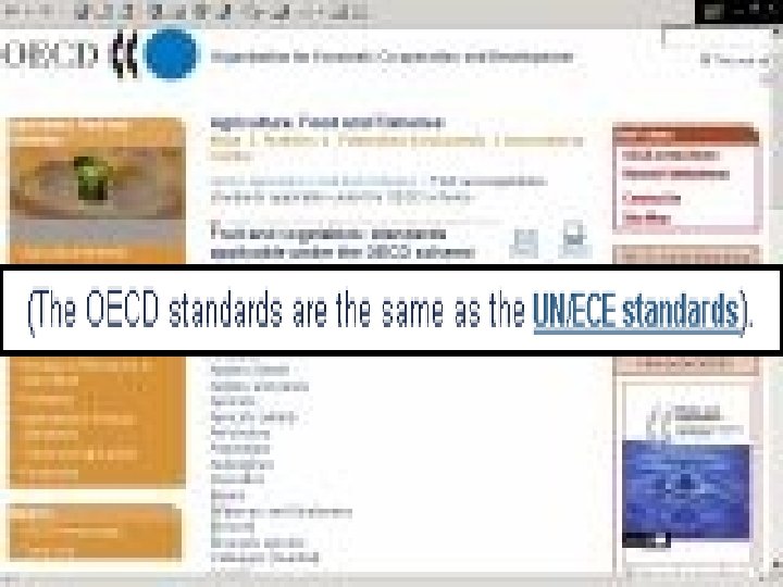 19 -Mar-18 Plant Protection & Inspection Services Ministry of Agriculture & Rural Development 15