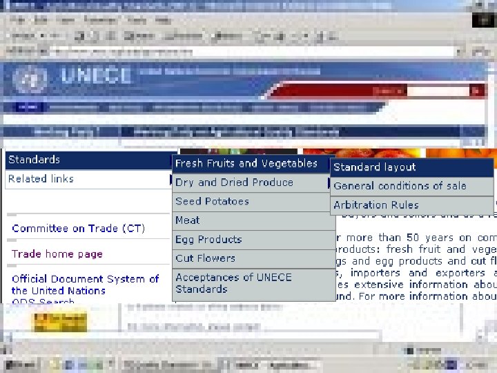 19 -Mar-18 Plant Protection & Inspection Services Ministry of Agriculture & Rural Development 16