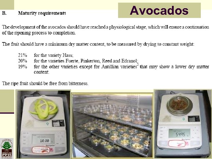 Avocados 19 -Mar-18 Plant Protection & Inspection Services Ministry of Agriculture & Rural Development
