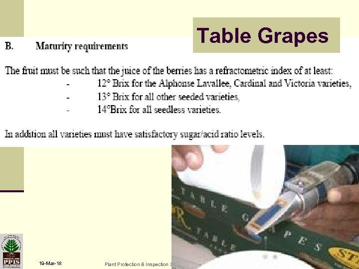Table Grapes 19 -Mar-18 Plant Protection & Inspection Services Ministry of Agriculture & Rural