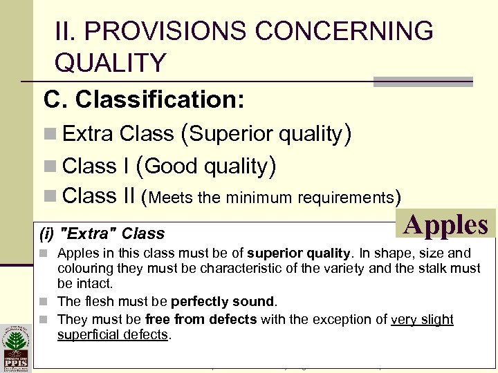 II. PROVISIONS CONCERNING QUALITY C. Classification: n Extra Class (Superior quality) n Class I