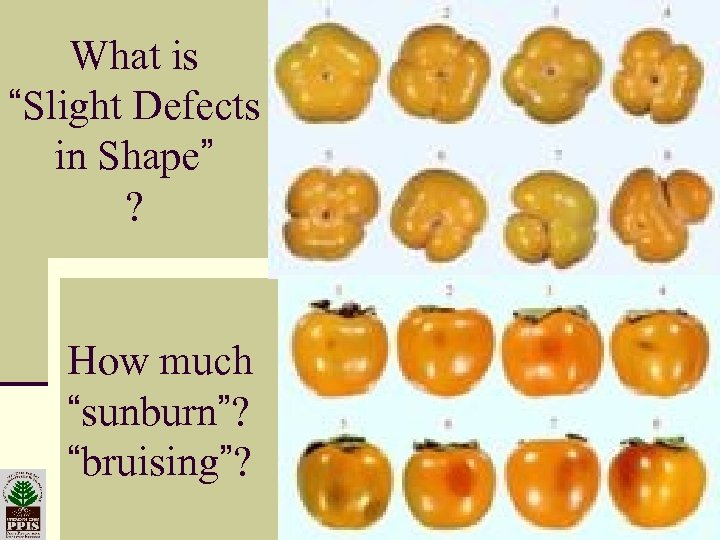 What is “Slight Defects in Shape” ? How much “sunburn”? “bruising”? 19 -Mar-18 Plant