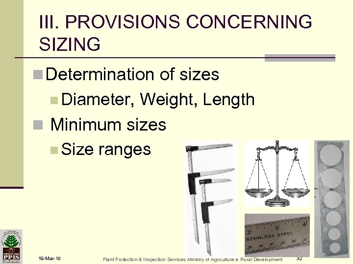 III. PROVISIONS CONCERNING SIZING n Determination of sizes n Diameter, Weight, Length n Minimum