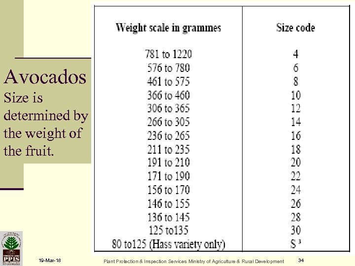 Avocados Size is determined by the weight of the fruit. 19 -Mar-18 Plant Protection