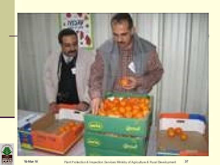 Danida pictures of count / weight 19 -Mar-18 Plant Protection & Inspection Services Ministry