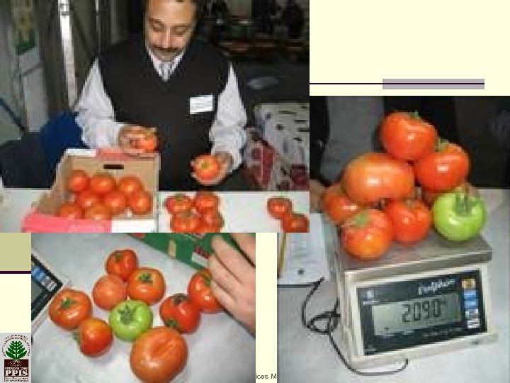 19 -Mar-18 Plant Protection & Inspection Services Ministry of Agriculture & Rural Development 39