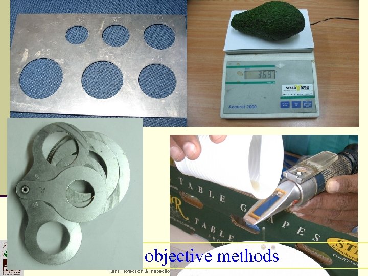 Using objective methods Plant Protection & Inspection Services Ministry of Agriculture & Rural Development