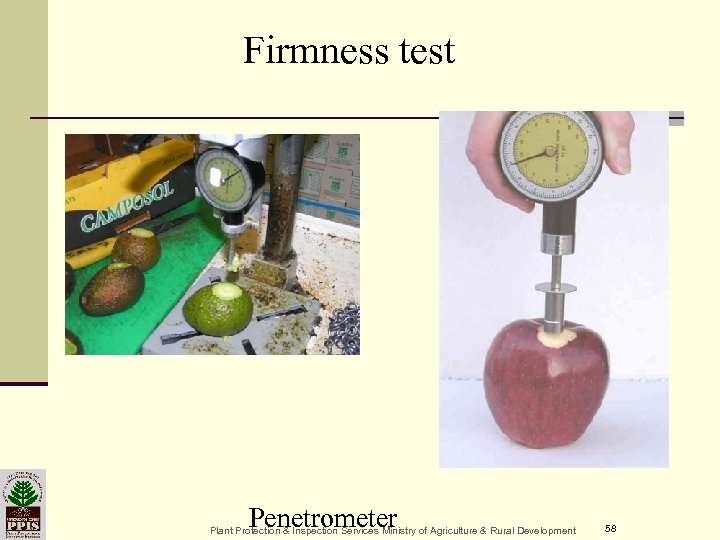 Firmness test Penetrometer Plant Protection & Inspection Services Ministry of Agriculture & Rural Development