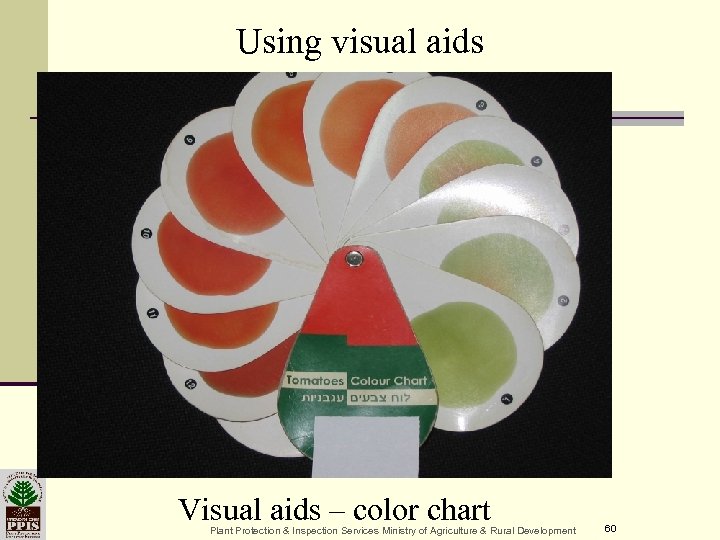 Using visual aids Visual aids – color chart Plant Protection & Inspection Services Ministry