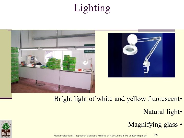 Lighting Bright light of white and yellow fluorescent • Natural light • Magnifying glass