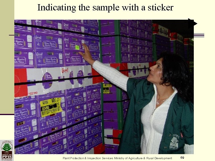 Indicating the sample with a sticker סימון דגימה Plant Protection & Inspection Services Ministry