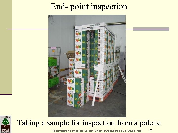 End- point inspection Taking a sample for inspection from a palette Plant Protection &