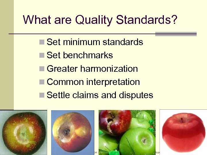 What are Quality Standards? n Set minimum standards n Set benchmarks n Greater harmonization