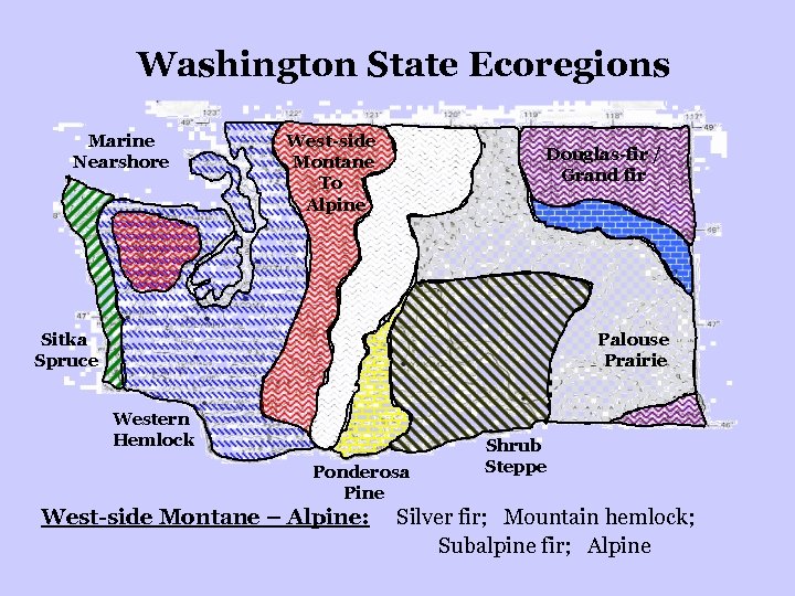 Washington State Ecoregions Marine Nearshore West-side Montane To Alpine Douglas-fir / Grand fir Sitka